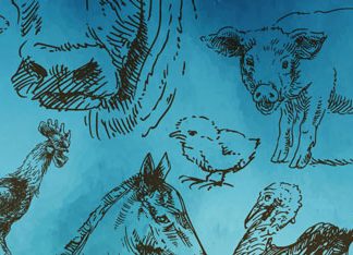 Torna la Fira de Santa Llúcia a Prats