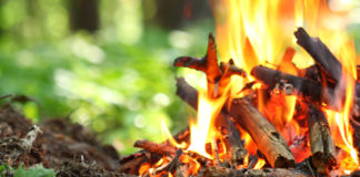 S’inicia el període de prohibició per fer foc al bosc fins el 15 d’octubre