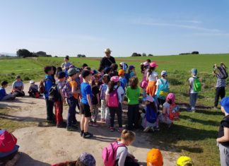 Rutes escolars durant la Setmana Cultural