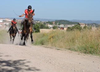 Guanyadors de les Curses dels Elois 2019