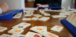 S’inicia el Servei de Promoció de l’Autonomia