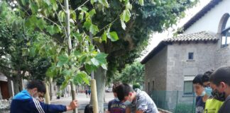 Prats se suma a la iniciativa ‘Un arbre per Europa’ amb la plantada d’un plataner a càrrec del Voluntariat Jove