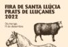 Pagesia, territori i cultura tornaran a ser protagonistes de la Fira de Santa Llúcia