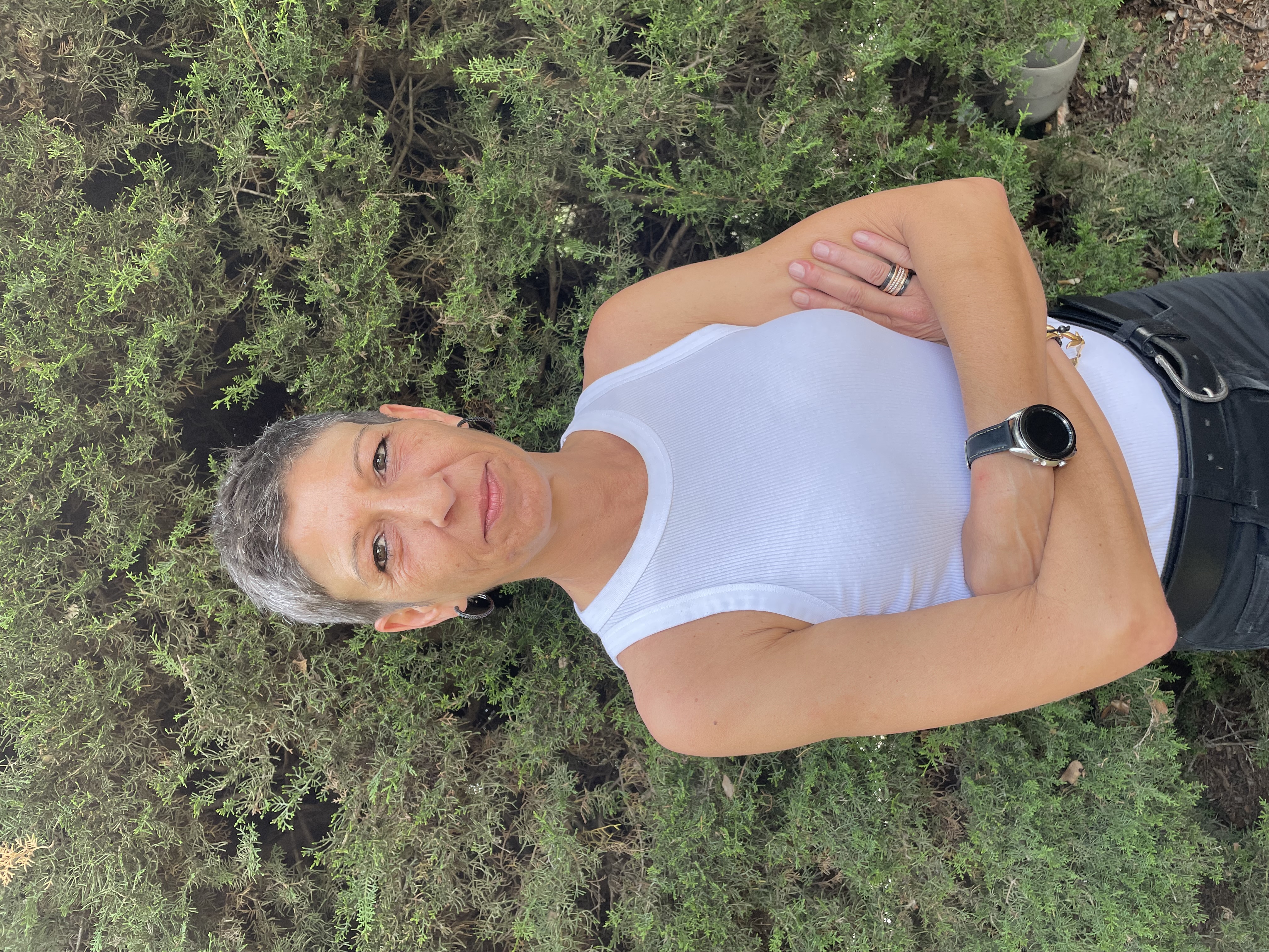 Promoció Econòmica, Ocupació, Comerç, Mercat, Recursos Humans i Hisenda