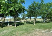 Prats de Lluçanès instal·la una tirolina al camí educatiu i de lleure de l’avinguda Rafael Casanova