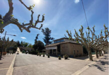 S’obre la consulta pública prèvia per a l’elaboració de la nova ordenança de tinença, protecció i control d’animals al municipi